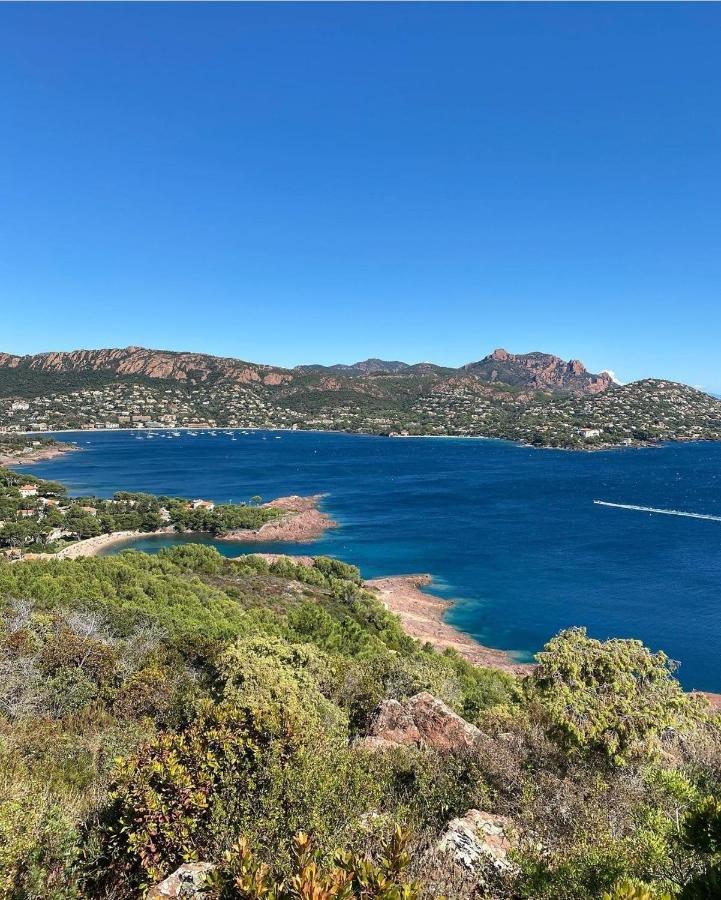 Cannes - Appartement Cosy Et Lumineux Kültér fotó